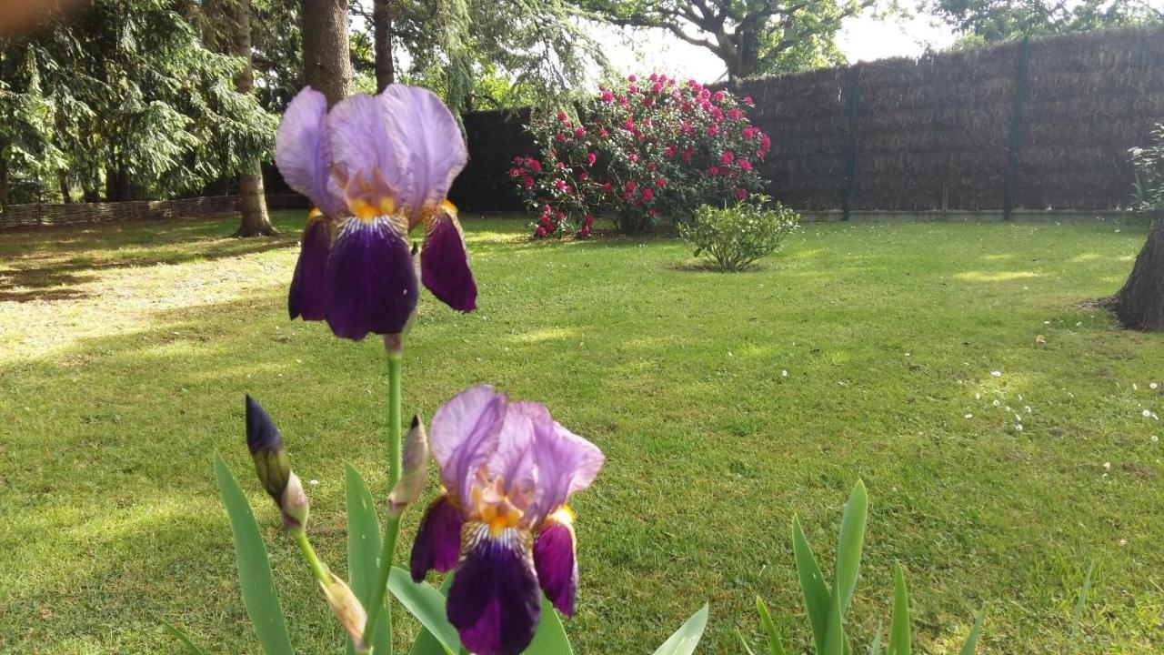 Maison Avec Jardin Arbore Villa Guérande Eksteriør bilde